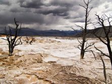 mammoth springs.jpg